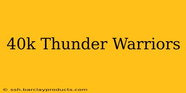 40k Thunder Warriors