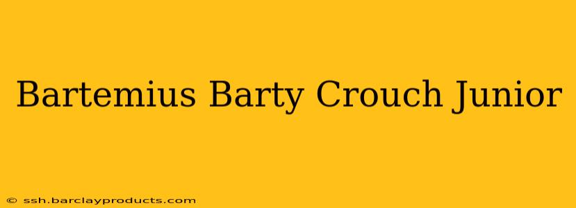 Bartemius Barty Crouch Junior