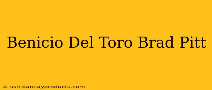 Benicio Del Toro Brad Pitt