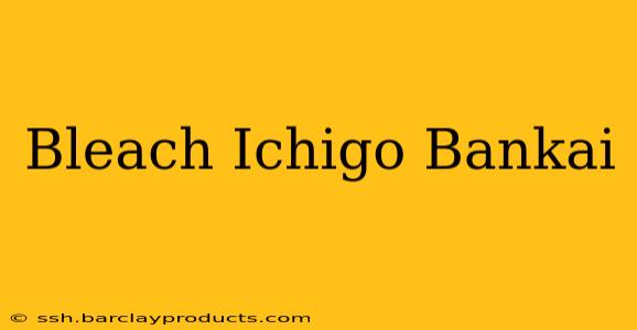 Bleach Ichigo Bankai