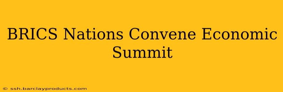 BRICS Nations Convene Economic Summit