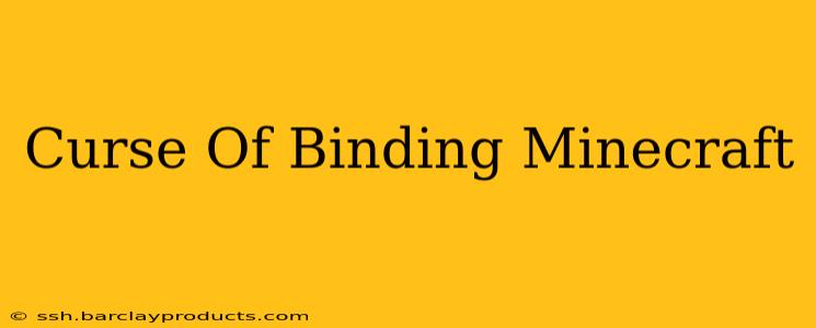 Curse Of Binding Minecraft