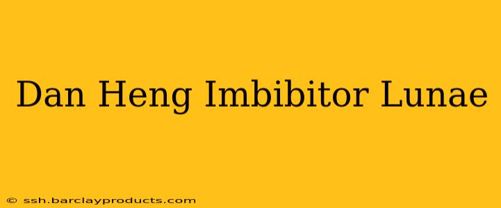 Dan Heng Imbibitor Lunae