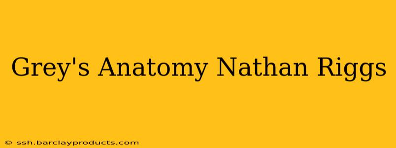 Grey's Anatomy Nathan Riggs