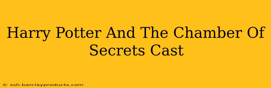 Harry Potter And The Chamber Of Secrets Cast