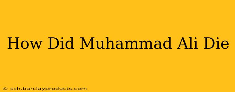 How Did Muhammad Ali Die