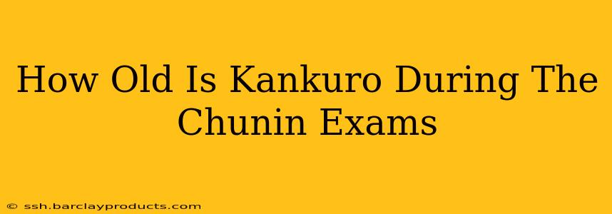 How Old Is Kankuro During The Chunin Exams