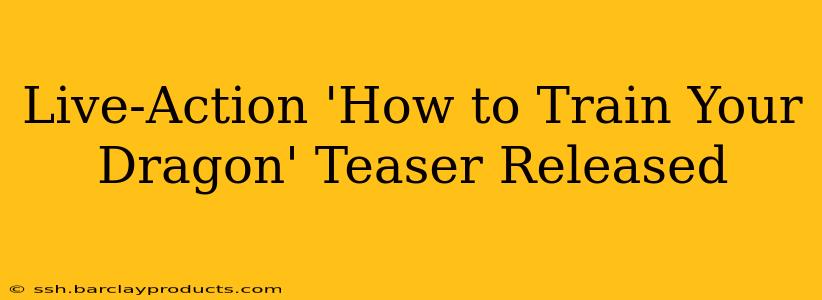 Live-Action 'How to Train Your Dragon' Teaser Released