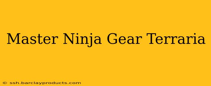 Master Ninja Gear Terraria