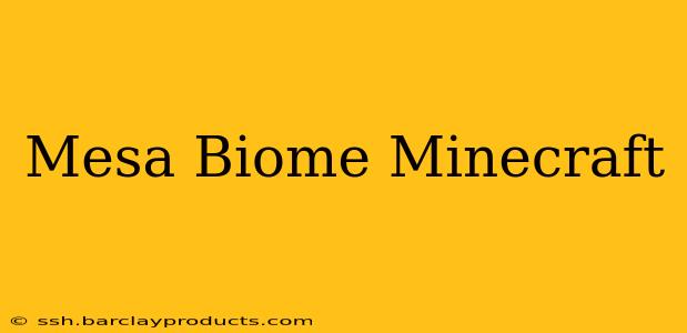Mesa Biome Minecraft