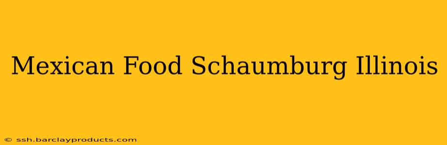 Mexican Food Schaumburg Illinois