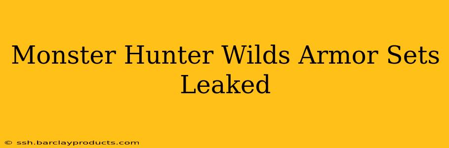 Monster Hunter Wilds Armor Sets Leaked