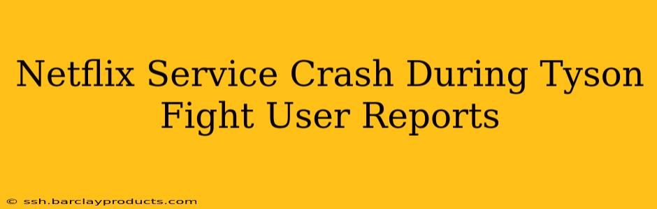 Netflix Service Crash During Tyson Fight User Reports