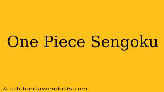One Piece Sengoku