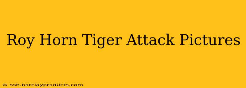 Roy Horn Tiger Attack Pictures