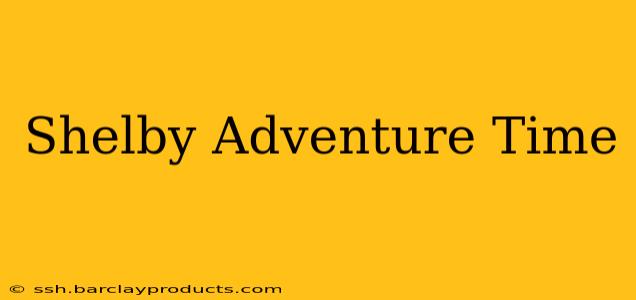 Shelby Adventure Time