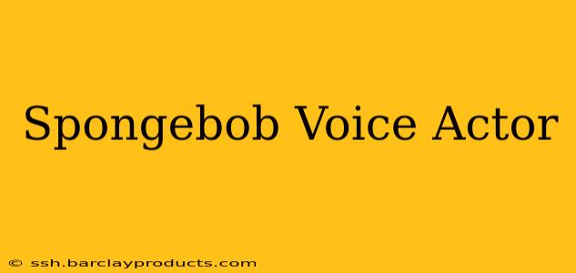 Spongebob Voice Actor