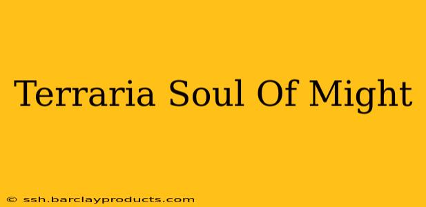 Terraria Soul Of Might