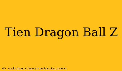 Tien Dragon Ball Z