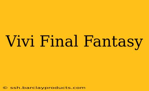 Vivi Final Fantasy
