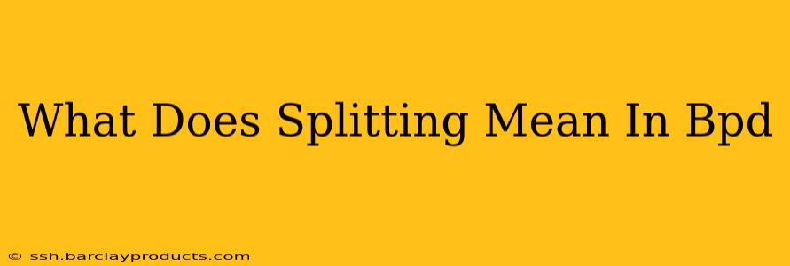 What Does Splitting Mean In Bpd