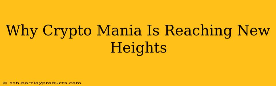 Why Crypto Mania Is Reaching New Heights
